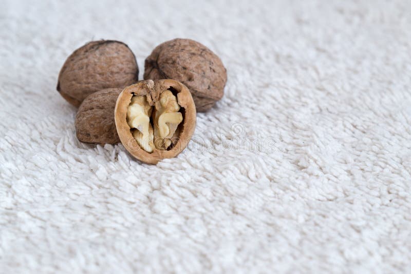 Walnuts in nut shells on white blanket.