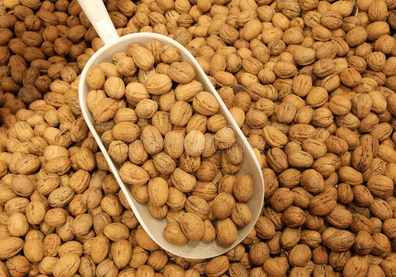 Walnuts for Sale in the Organic Grocery Store Stock Photo Image of