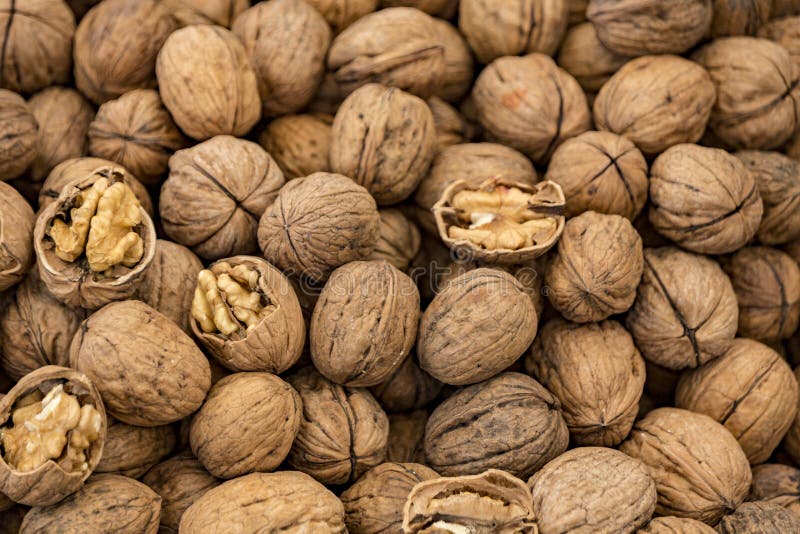 Walnuts for sale stock image. Image of bazaar, market 155383661