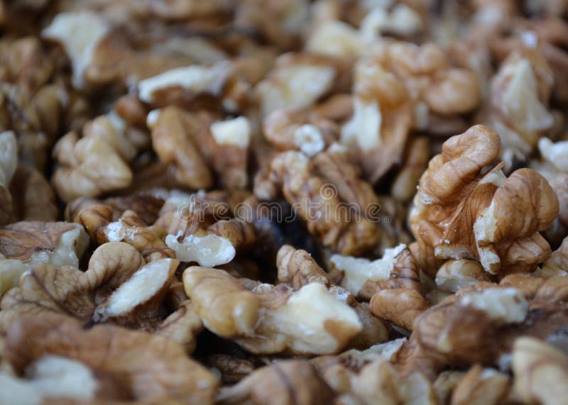 Walnuts stock photo. Image of halve, persian, pecan, peanut 80116878