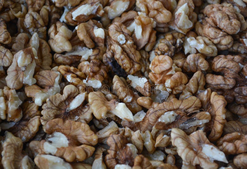 Walnuts stock photo. Image of butter, chocolate, praline 80116894