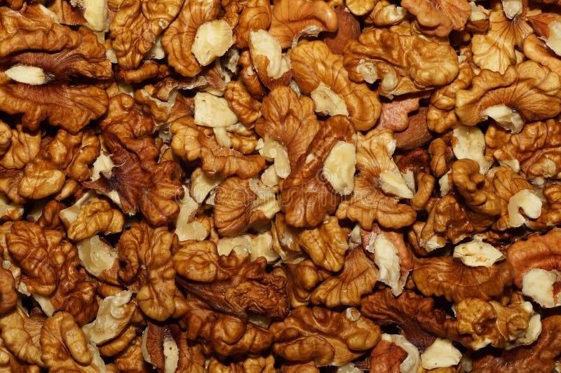 Walnuts without shell royalty free stock photo Walnuts without shell royalty free stock photo