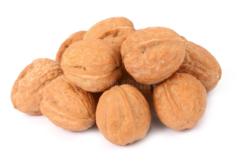 Walnuts on white stock image. Image of fruit, harvest 3956763