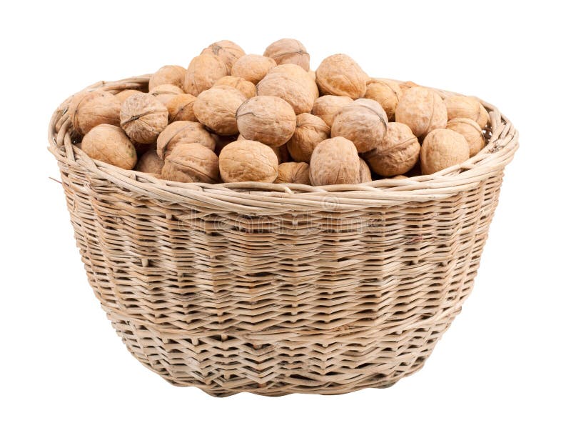 Walnuts in wooden basket stock photo. Image of macro 21634162