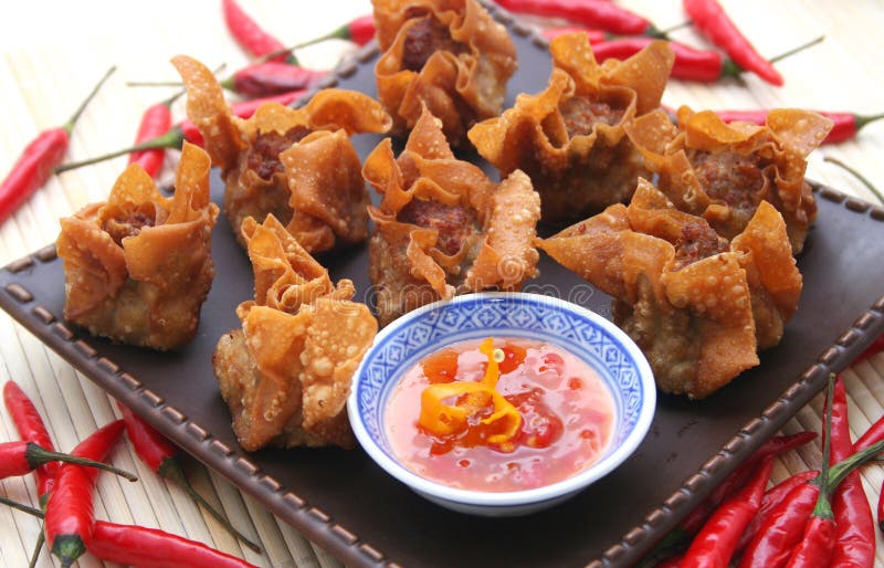 Wan tan stock photo. Image of lunch, asian, sauce, meal - 6304474