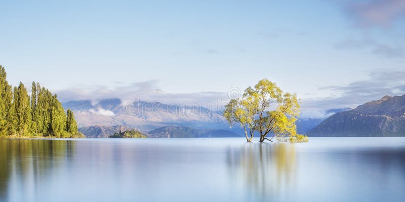 Wanaka Tree Lake Wanaka New Zealand Beautiful Colorful Mountain Lake