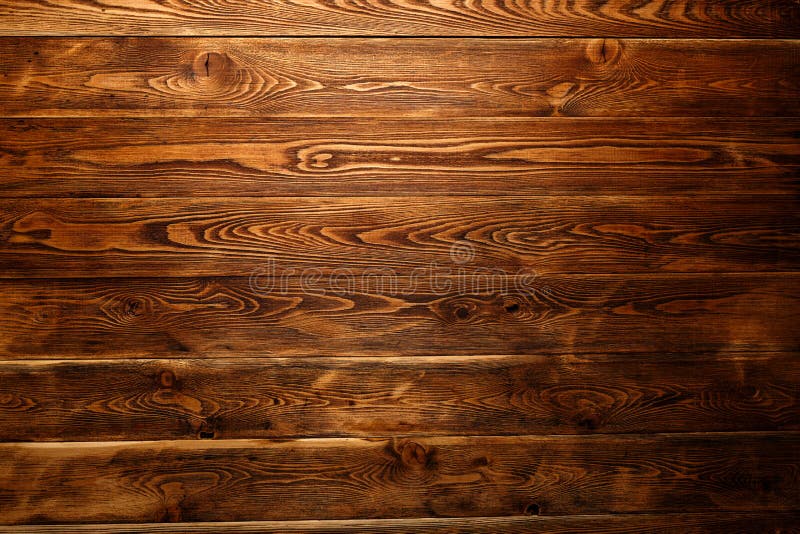 Wand des hellen Ziegelsteines und blo?en der Niederlassungen, die oben von oben haften stockfotos Wand des hellen Ziegelsteines und blo?en der Niederlassungen, die oben von oben haften stockfotos