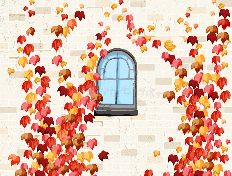 Wand und Fenster des Hauses bedeckt mit rotem Efeu im Herbst stock abbildung Wand und Fenster des Hauses bedeckt mit rotem Efeu im Herbst stock abbildung