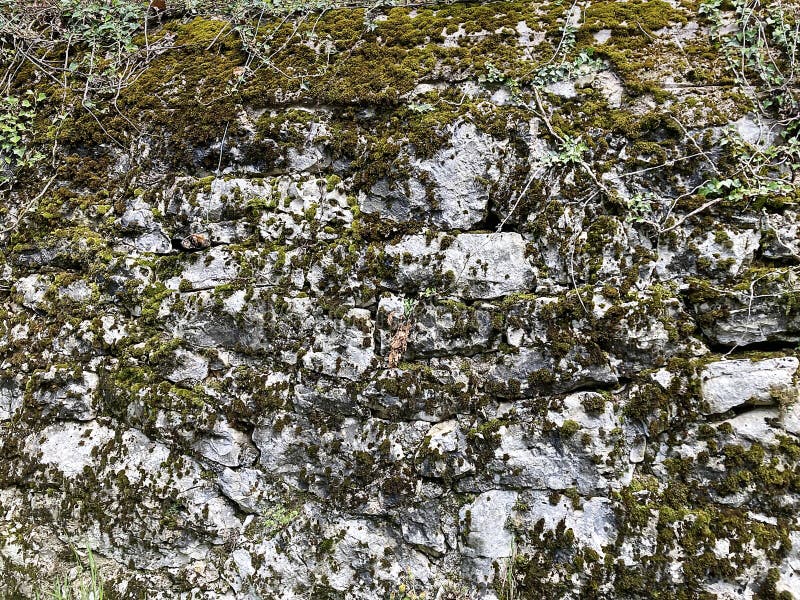 Wandbetonmauer aus Stein für Hintergrund oder Rendering stockfoto