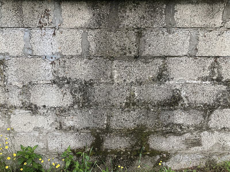 Wandbetonmauer aus Stein für Hintergrund oder Rendering stockfotografie