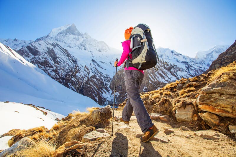Wandelaar op trek in Himalayagebergte, Annapurna-vallei, Nepal stock afbeeldingen Wandelaar op trek in Himalayagebergte, Annapurna-vallei, Nepal stock afbeeldingen