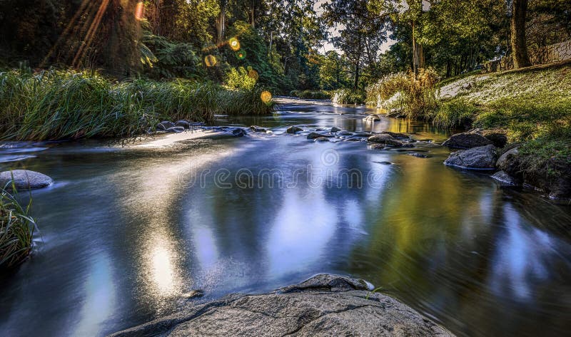 Wander And Explore Warburton Little River