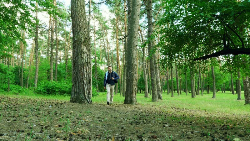 Wanderer wandert auf einem Weg durch einen Wald