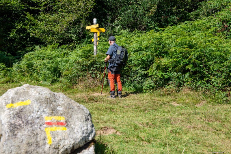 Mann, Der Fahrrad In Seiner Werkstatt Repariert Stockbild