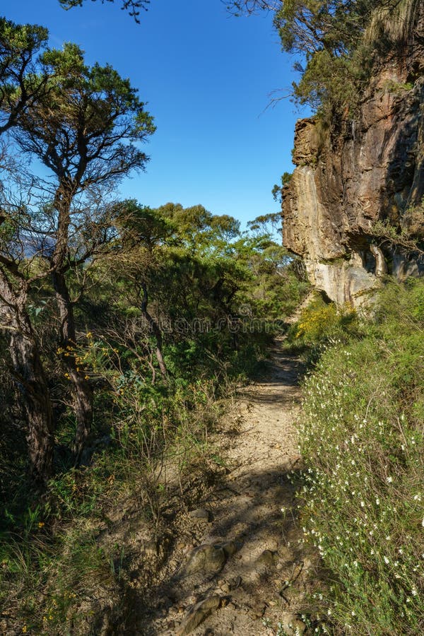 Wandern des großartigen clifftop Wegs, blaue Berge, Australien 5 lizenzfreie stockbilder Wandern des großartigen clifftop Wegs, blaue Berge, Australien 5 lizenzfreie stockbilder