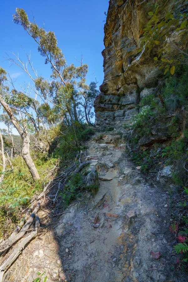 Wandern des Prinzhenry-Klippenwegs, blaue Berge, Australien 7 lizenzfreie stockfotos Wandern des Prinzhenry-Klippenwegs, blaue Berge, Australien 7 lizenzfreie stockfotos