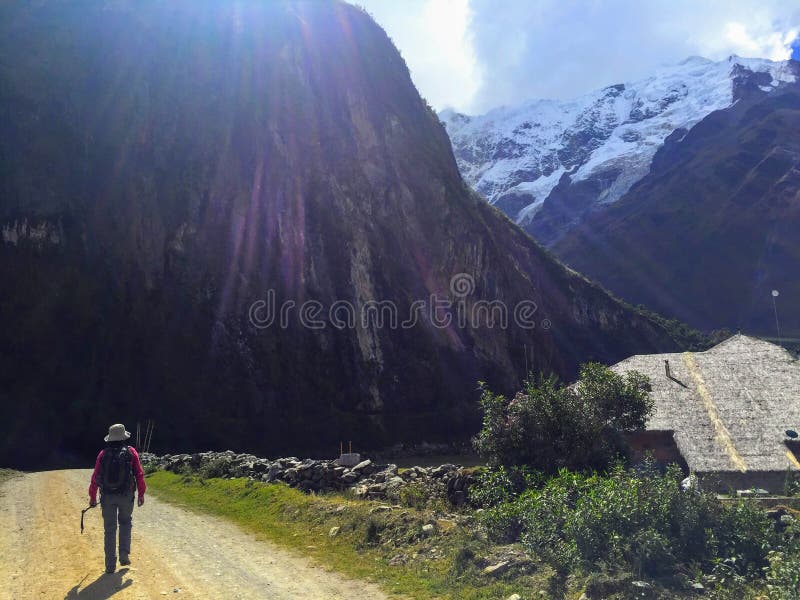 Wandern mit einem Inkaführer durch die Anden auf dem Salkantay-tre stockbild Wandern mit einem Inkaführer durch die Anden auf dem Salkantay-tre stockbild