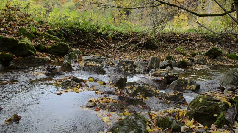 Wanderweg durch Schlucht Maisinger Schlucht im Bayern Deutschland Kleines Flussfließen Buchenwald herum
