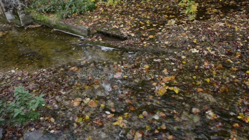 Wanderweg durch Schlucht Maisinger Schlucht im Bayern Deutschland Kleines Flussfließen Buchenwald herum