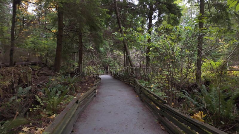 Wanderweg in kanadischer Regenwaldsaison. Leuchtturmpark West Vancouver bc canada.