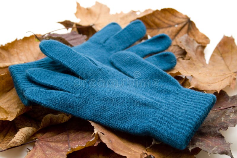 Want gloves with foliage