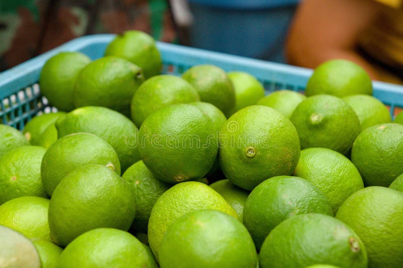 Close-up on some green lemons, Chiang Mai, Thailand. Close-up on some green lemons, Chiang Mai, Thailand