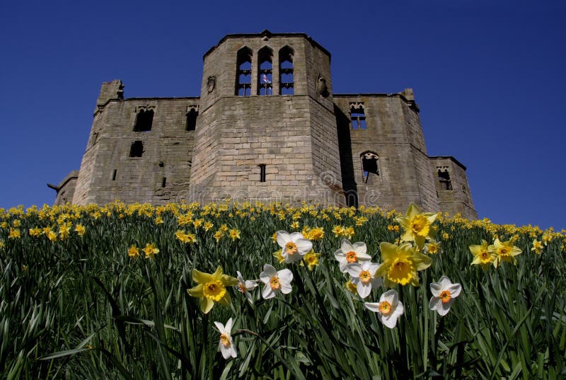 Warkworth Castle stock photo. Image of daffodils, fantasy 719946