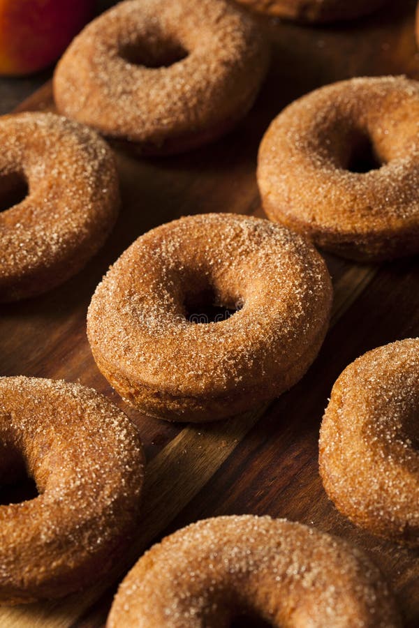 Warm Apple Cider Donuts stock image. Image of treat, fruit 45181761