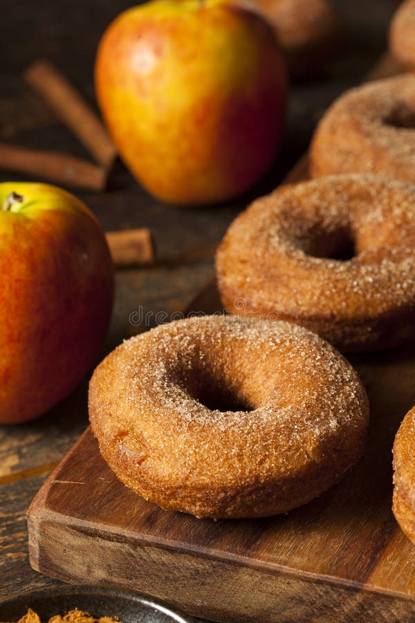 Warm Apple Cider Donuts stock photo. Image of sweet, donuts 45181780
