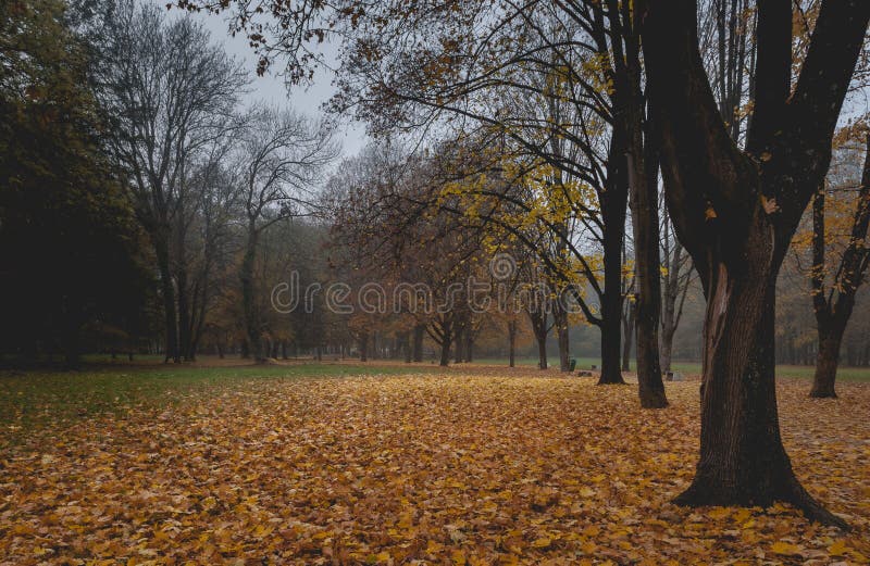 Teplý podzimní den v parku.