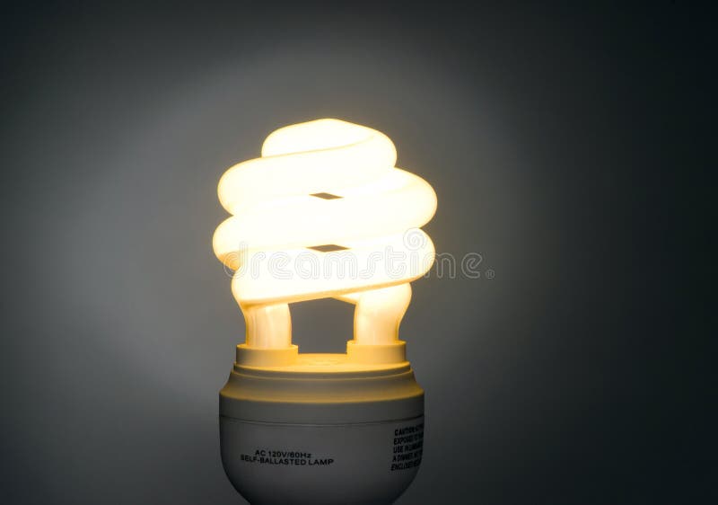 Comparing Fluorescent and Incandescent Light Bulbs Stock Photo Image