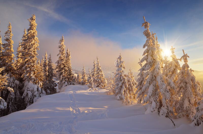 Warm light of the sun on cold snow