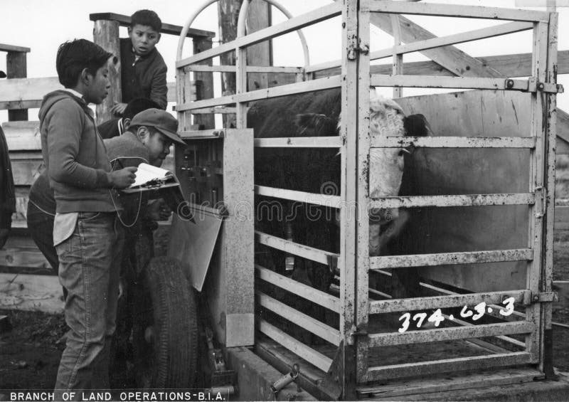 Warm Springs 4H Members Get Training Picture. Image 222395715