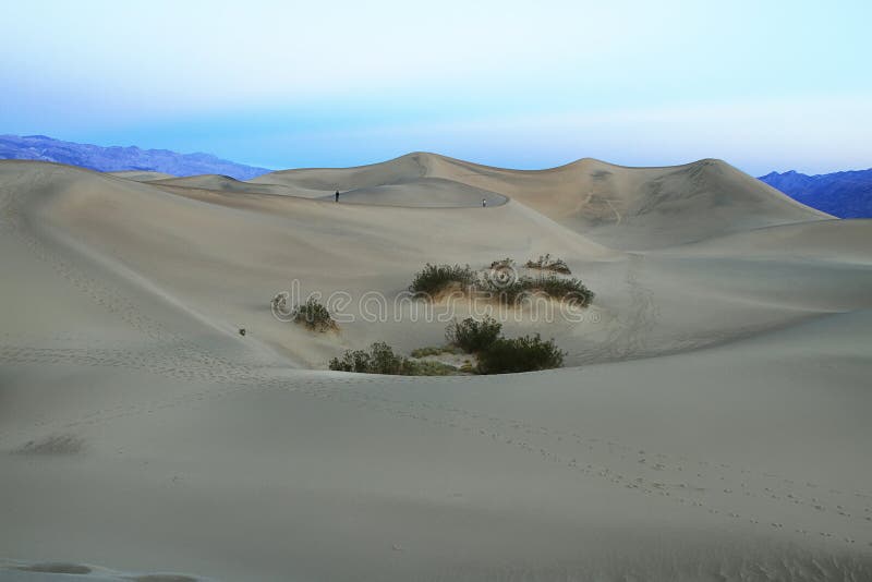 The warm sun rises on the sand dunes, Death Valley