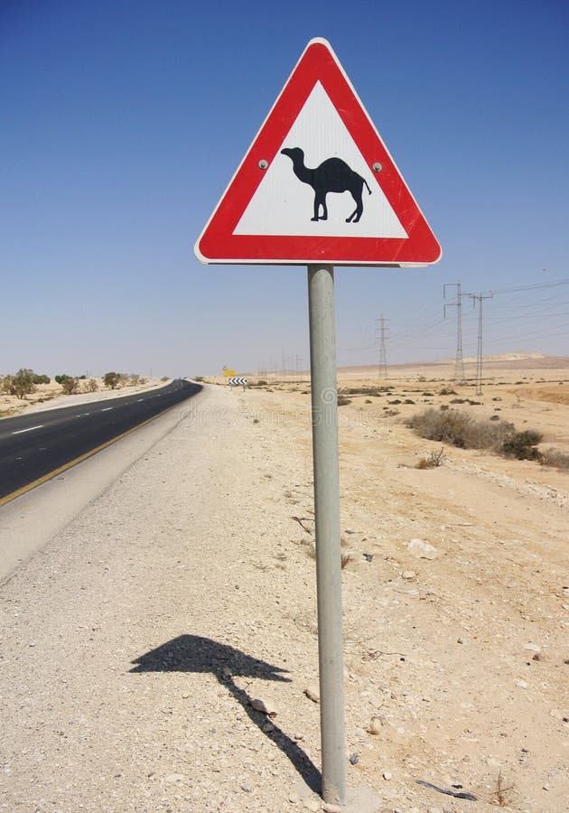 warning-camel-crossing-road-sign-motoris