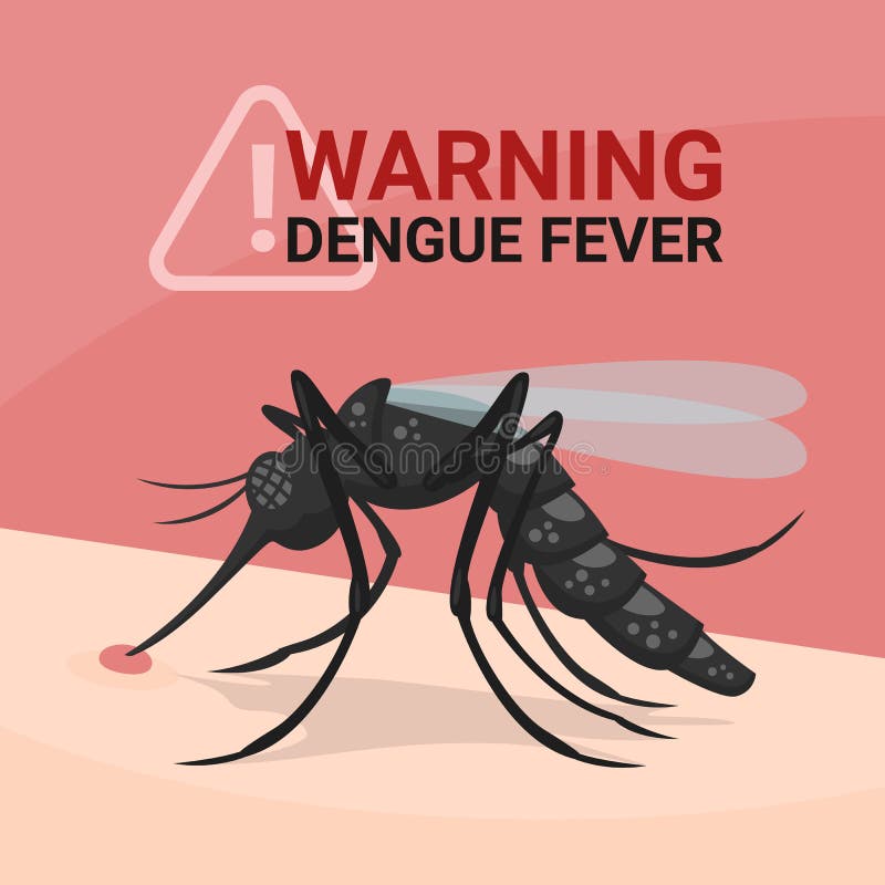 warning dengue fever banner closeup mosquitos drinking blood skin human vector design 190781091