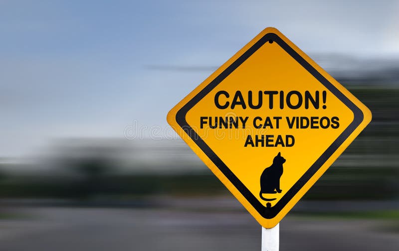 Warning Sign for Funny Cat Videos - Funny Road Sign Stock Photo - Image of  movement, banners: 140649470
