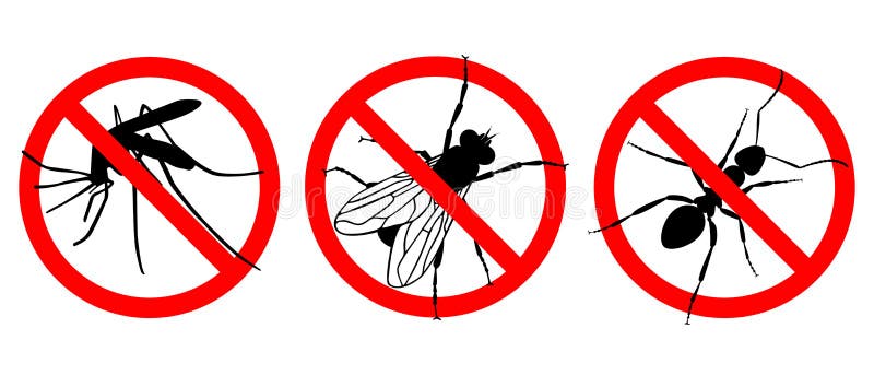 no insects or bugs