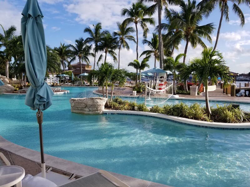 Warwick Hotel Pool View stock image. Image of view, scenery - 147535173