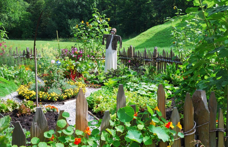 Warzywa ogrodu