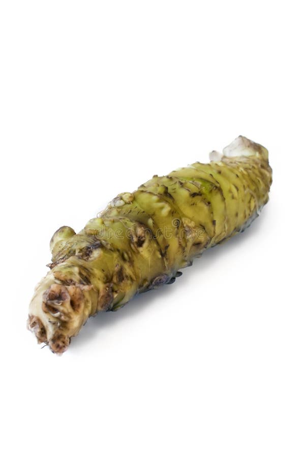 Wasabi stock photo. Image of vegetable, root, flavor 25211206