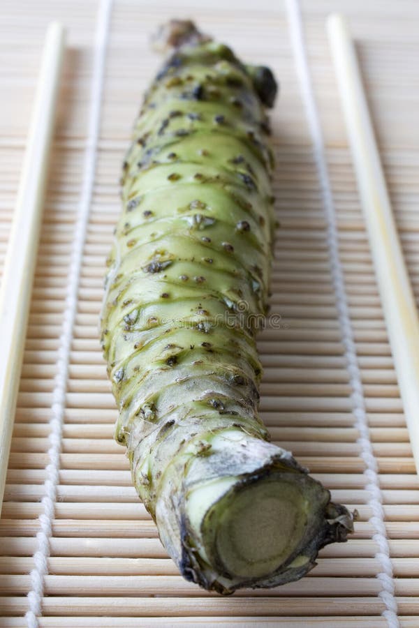 Wasabi stock photo. Image of wasabi, spice, flavor, cochlearia 12330330
