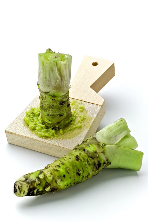 Wasabi stock photo. Image of vegetable, root, flavor 25211206