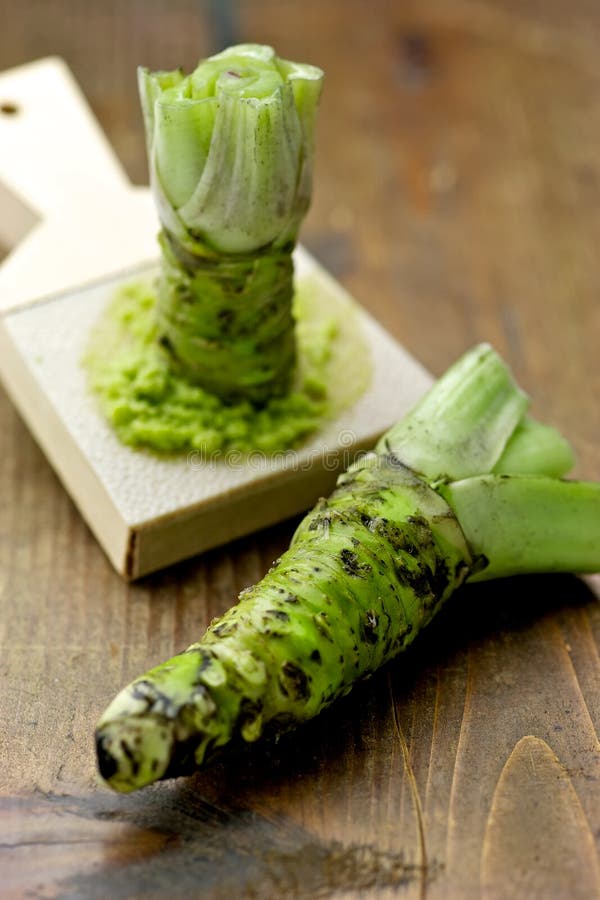 Wasabi stock photo. Image of flavor, japan, fresh, vegetable 25211146