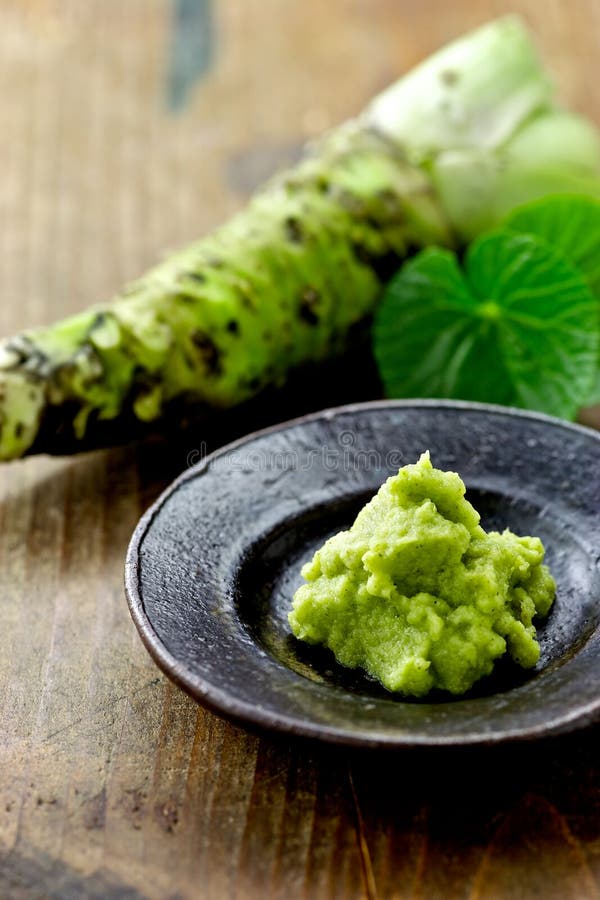 Wasabi stock photo. Image of flavor, japan, fresh, vegetable 25211146