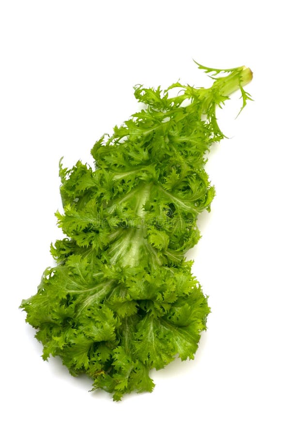 Wasabi GreensBrassica Juncea Stock Image Image of plant, health