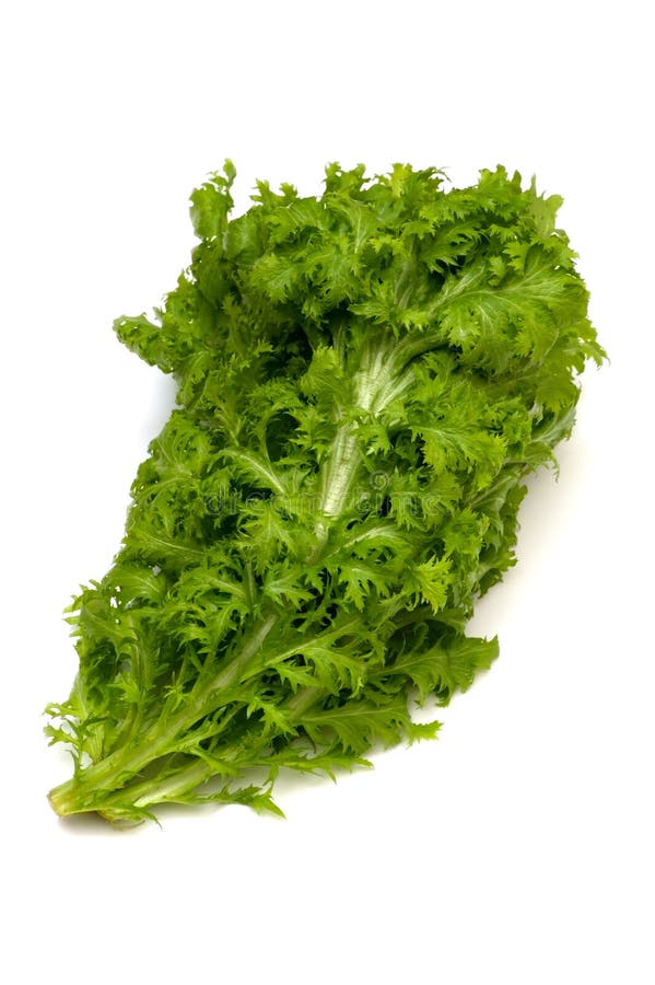 Wasabi GreensBrassica Juncea Stock Image Image of plant, health
