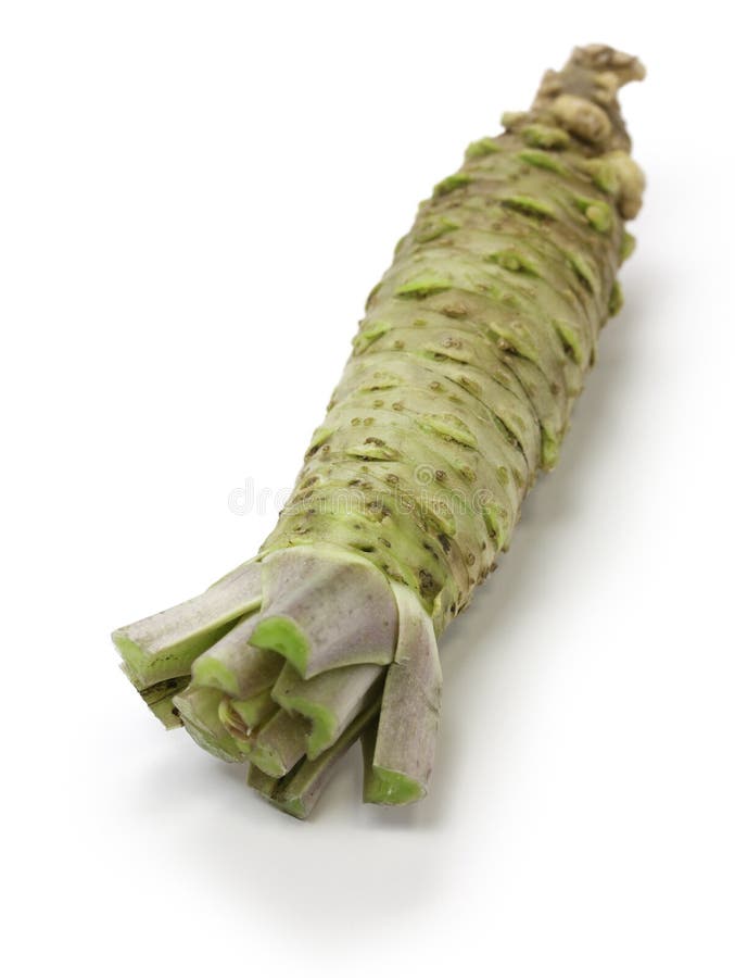 Wasabi, raifort japonais photo stock. Image du frais 34955016