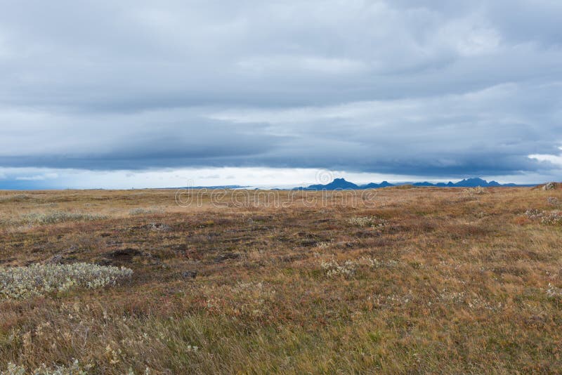 Wide Plain with the Glacier in the Background Stock Image - Image of ...