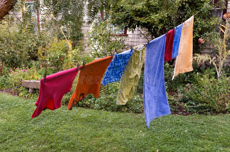 Washing Hanging on Clothesline Stock Photo Image of backyard, wind 96434012